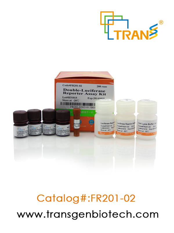 TransDetectTM Double-Luciferase Reporter Assay Kit
