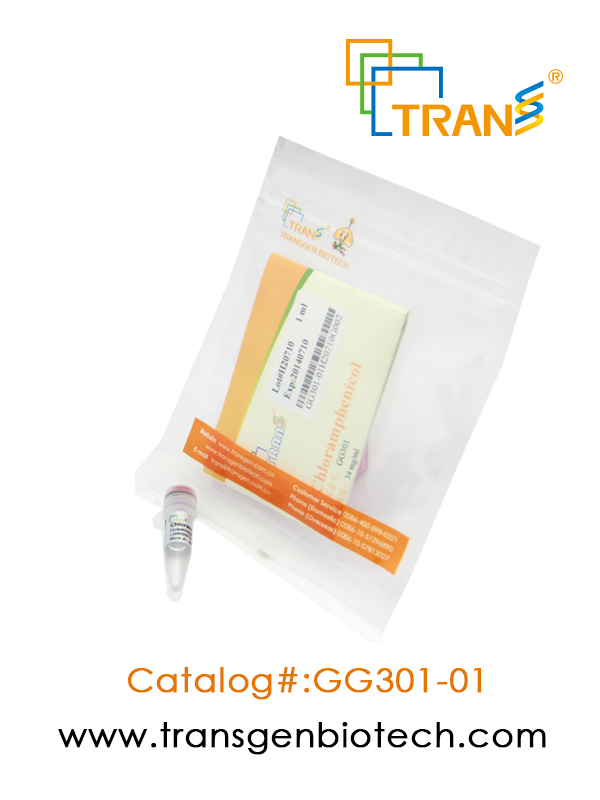 Chloramphenicol