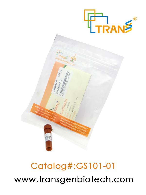 GelStain