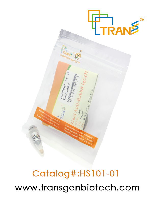 ProteinFindTM Goat Anti-Rabbit IgG(H+L),HRP Conjugate