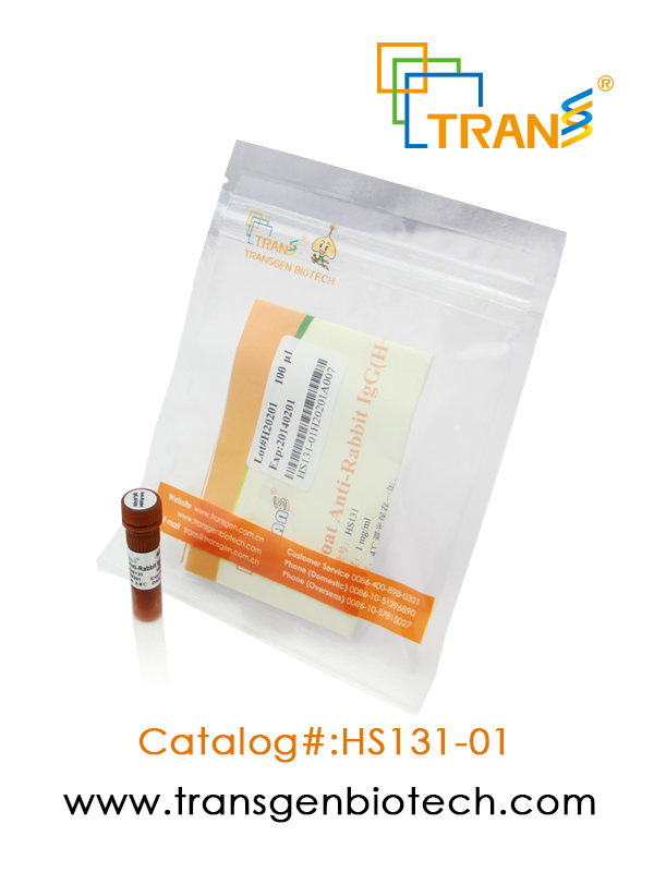 ProteinFindTM Goat Anti-Rabbit IgG(H+L), AF488 Conjugate