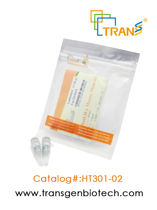 ProteinFindTM Anti-HA Mouse Monoclonal Antibody