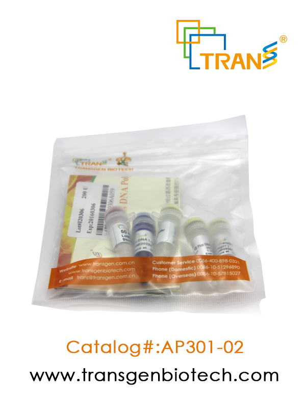 TransStart® KD Plus DNA Polymerase