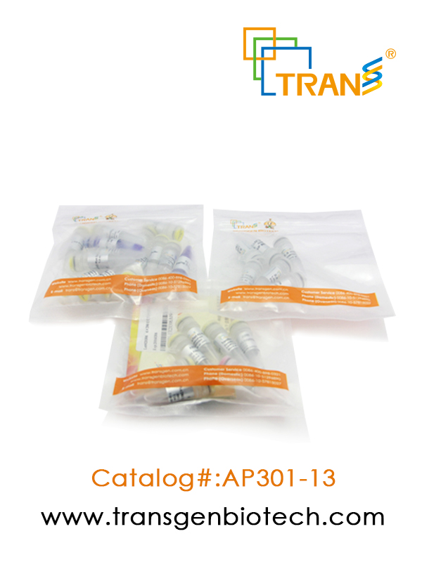 TransStart® KD Plus DNA Polymerase( 含 2.5 mM dNTPs)