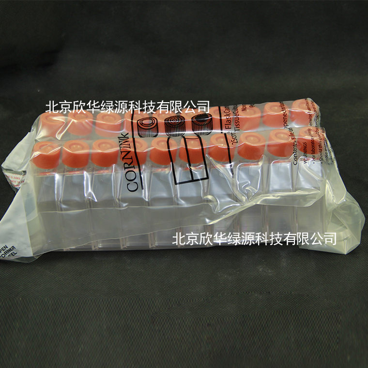 FLASK,25CM,CANT,PLG,PS,S,BK,20 25c㎡ 密封培养瓶 直角斜颈 TC表面 大包装