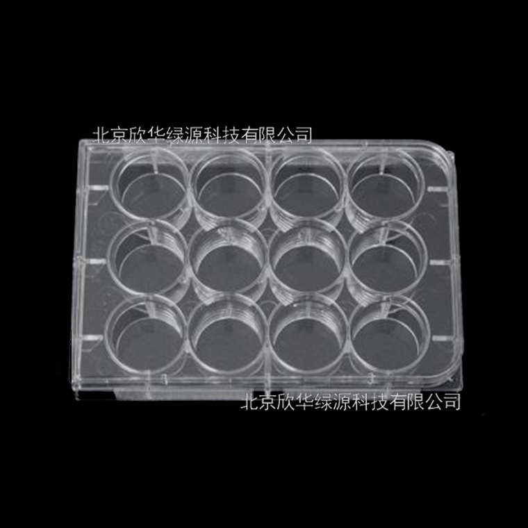 12孔透明标准板, TC表面, 灭菌, 单独包装, 1个/包, 50包/箱