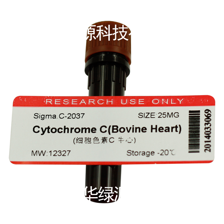 细胞色素 牛心 cytochromes bovine heart