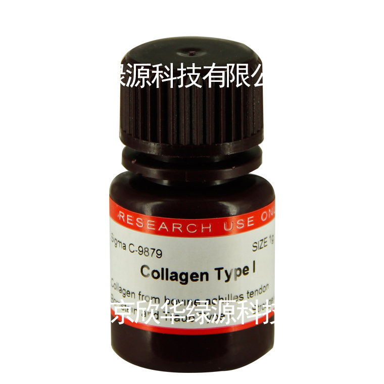 胶原蛋白Ⅰcollagen Type Ⅰ