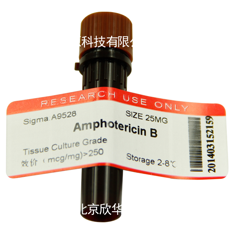 可溶性两性霉素B Amphotericin B
