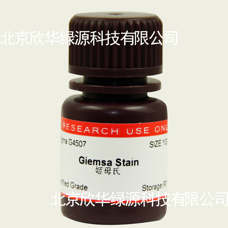 姬姆萨染液 Giemsa stain