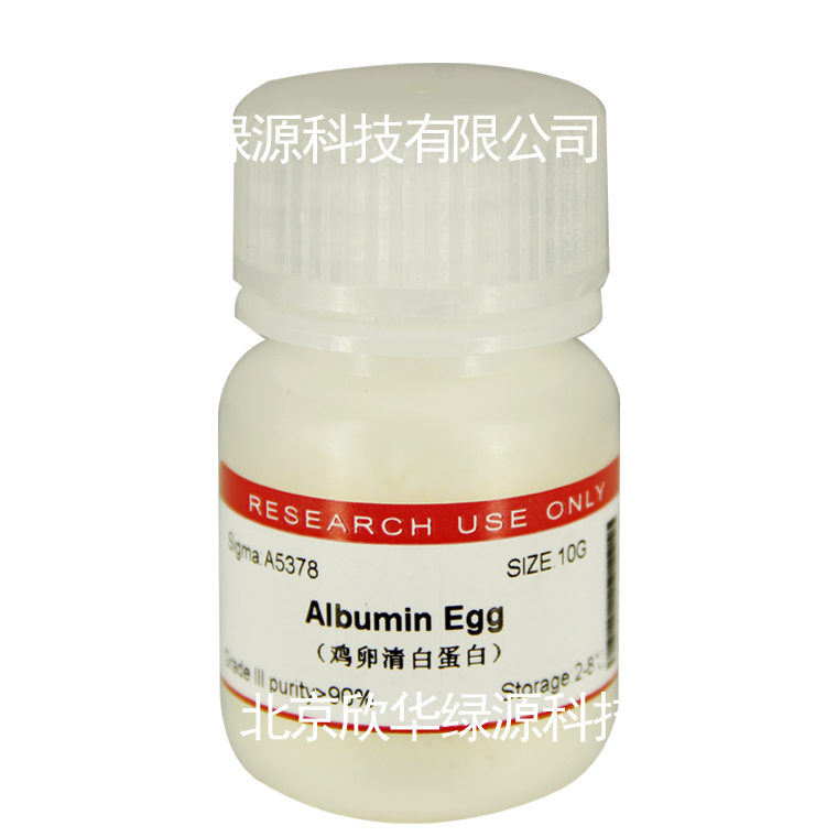卵清白蛋白 Albumin Egg