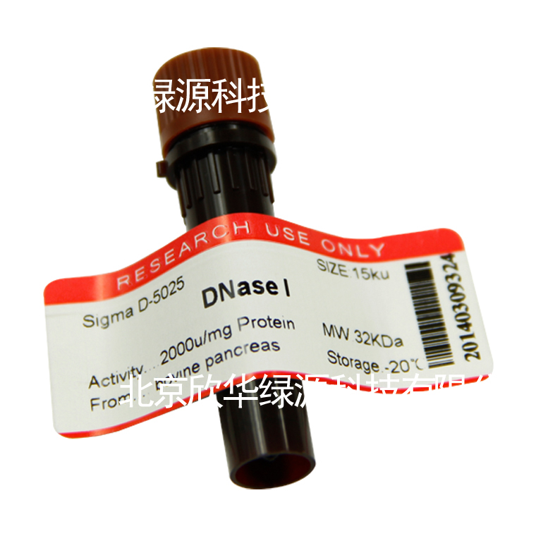 DNAse I 脱氧核糖核酸酶I