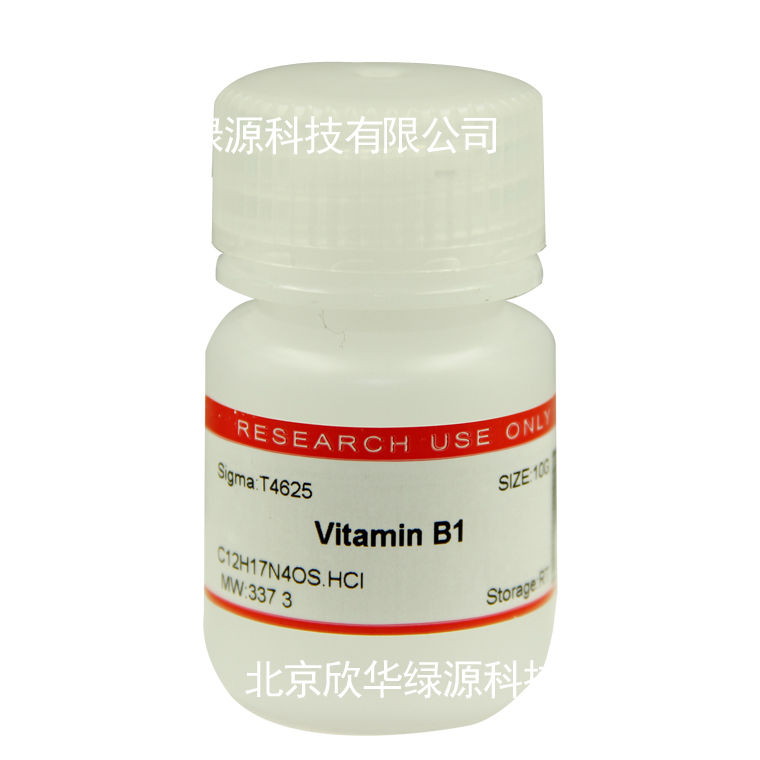 VB1 盐酸硫胺素