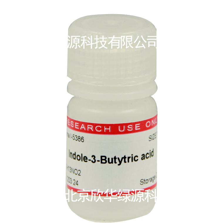 吲哚丁酸 Indole-3-butyric acid
