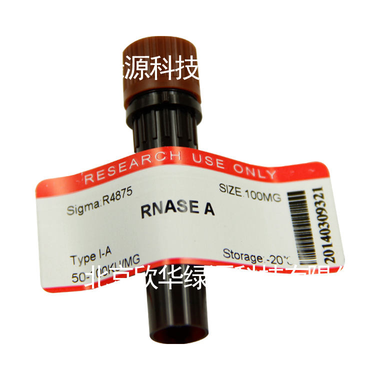 RNase A 核糖核酸酶 A