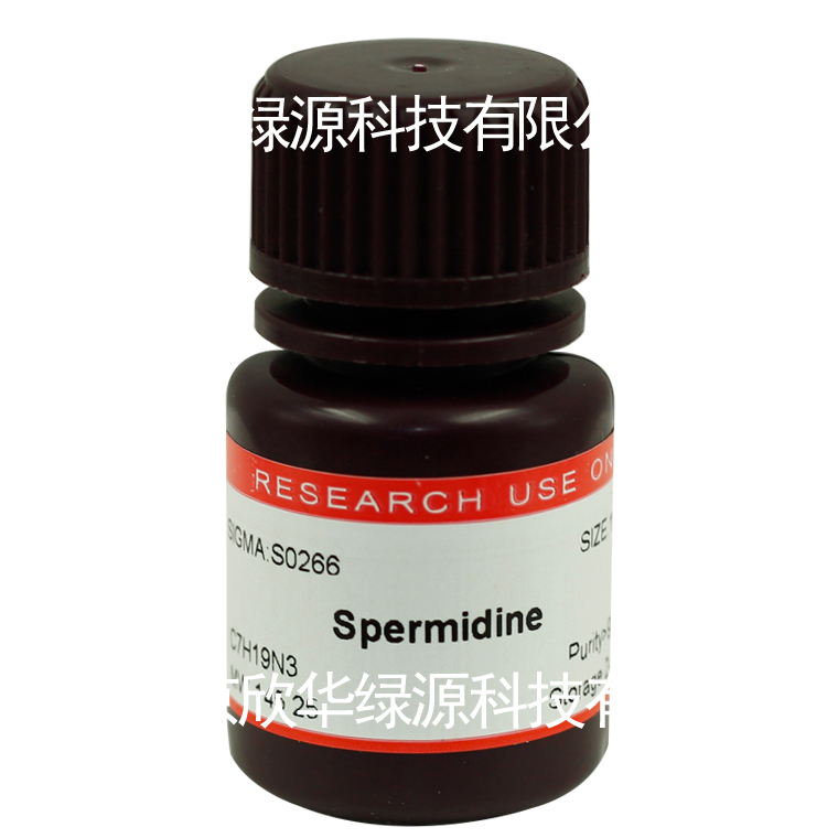 亚精胺 Spermidie
