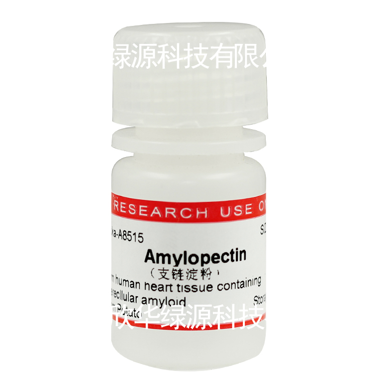 支链淀粉 Amylopectin