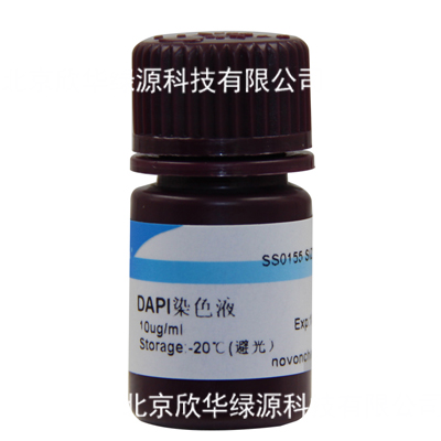 DAPI染色液(10ug/ml)