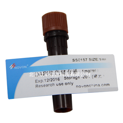 DAPI染色储存液(1mg/ml)