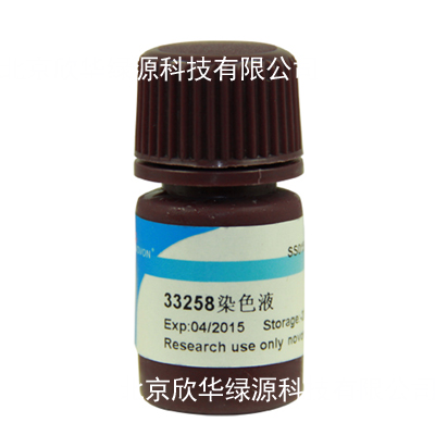 Hoechst33258染色液