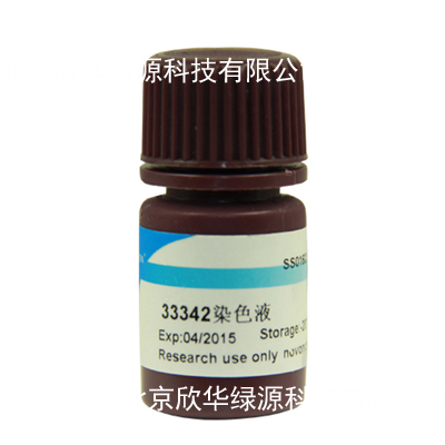 Hoechst33342染色液