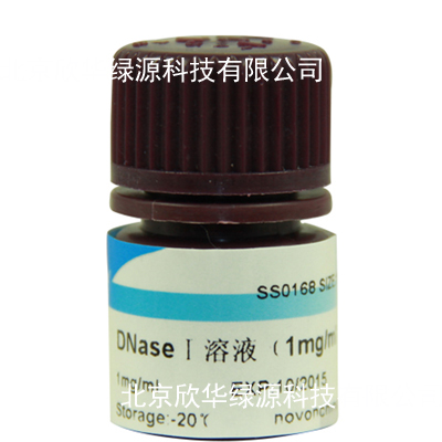 吖啶橙染色液(1mg/ml)