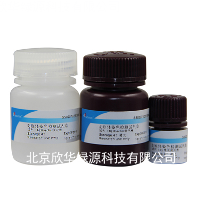 支原体染色检测试剂盒