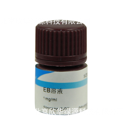 溴化乙锭溶液(EB,1mg/ml)