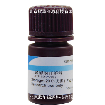 三磷酸腺苷溶液(ATP,10mmol/L)