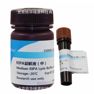 RIPA裂解液(中)