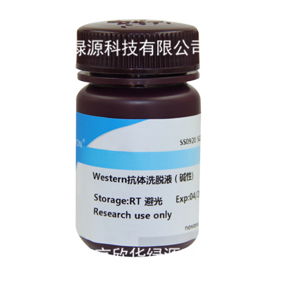 Western抗体洗脱液(碱性)