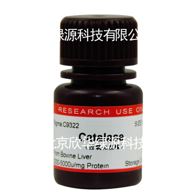 过氧化氢酶 catalase