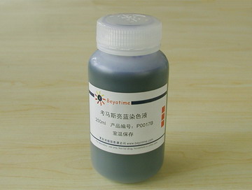 考马斯亮蓝染色液(常规法)