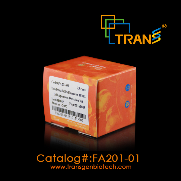 TransDetectTM  In Situ Fluorescein TUNEL Cell ApoptosisDetection Kit