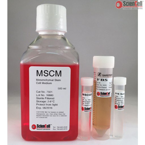 间充质干细胞培养基mscm (mesenchymal stem cell medium)