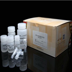 酵母高纯质粒小量快速提取试剂盒(带lyticase)