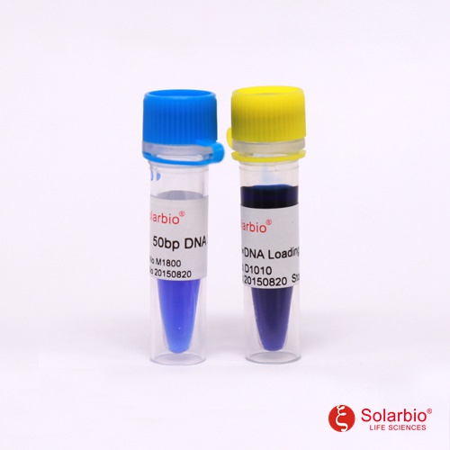 bp dna ladder說明書貨號:m1800規格:50t(250μl)/100t(500μl)保存:4