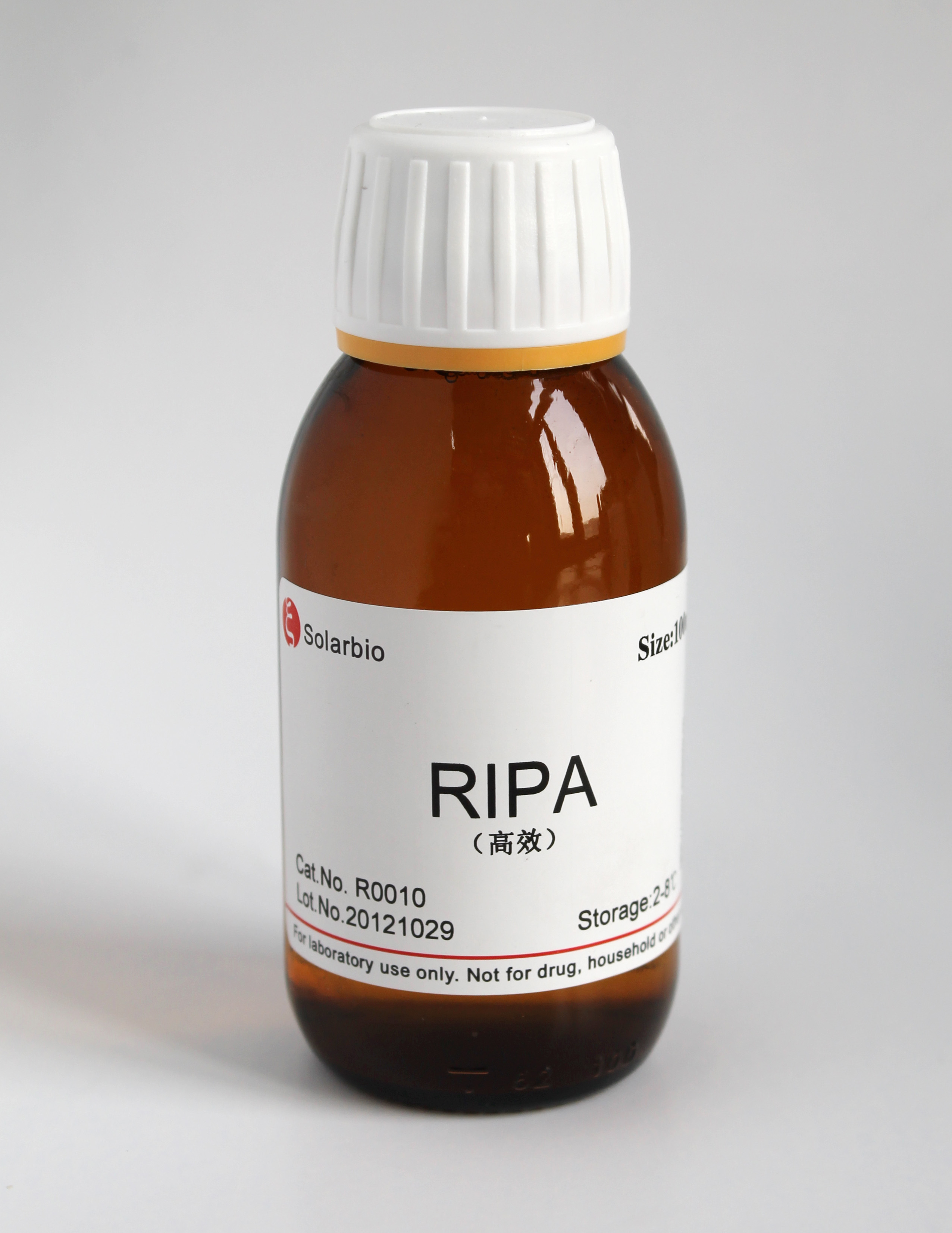 高效ripa组织/细胞快速裂解液