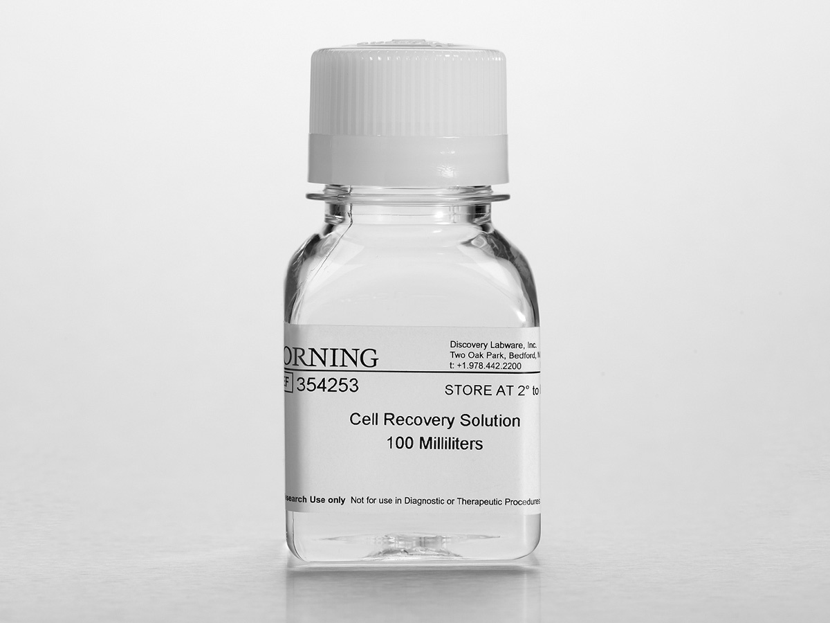corning cell recovery solution, 细胞回收液