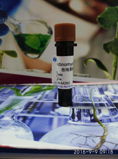 甲砜霉素|thiamphenicol15318-45-3