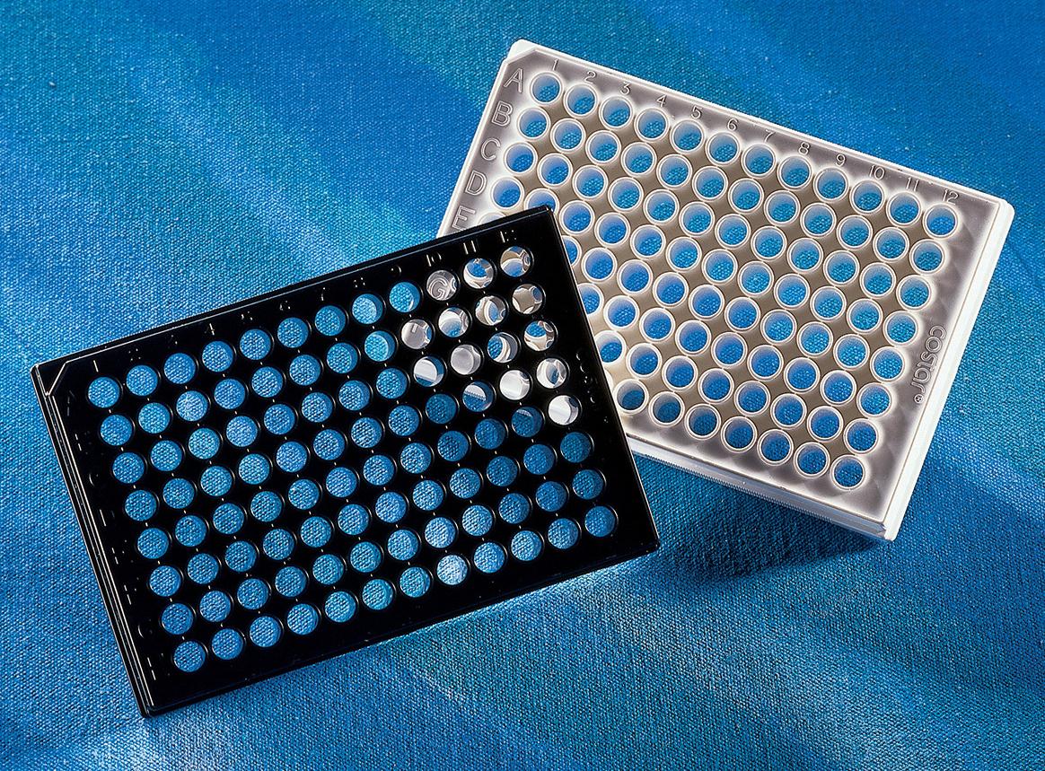 96孔板 黑色透明平底 tc带盖灭菌