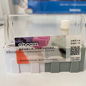 anti-il-1alphaantibody[epr19904-247]