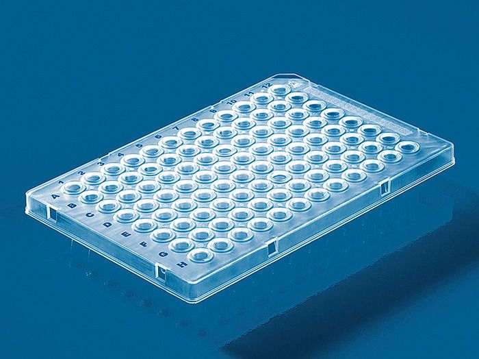 96孔pcr板