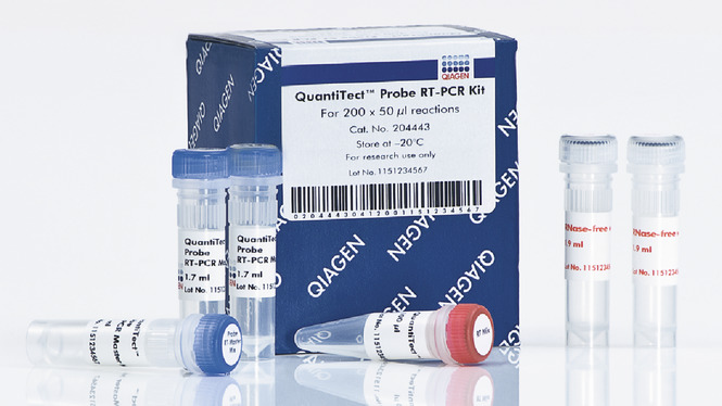 204443 quantitect probe rt-pcr kit (200)