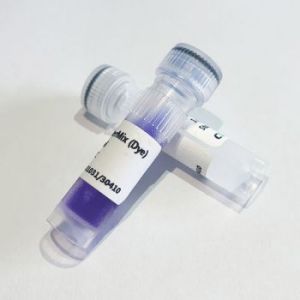2×Flash PCR MasterMix(Dye)