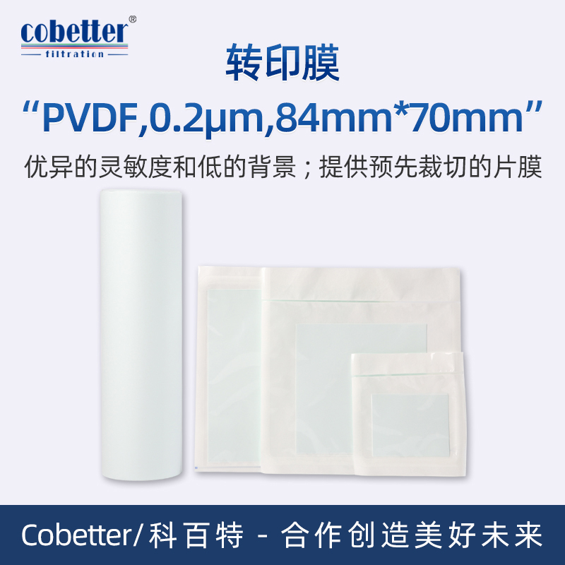 Cobetter科百特PVDF转印膜, 孔径: 0.2μm, 尺寸: 84mm*70mm(50片/盒)