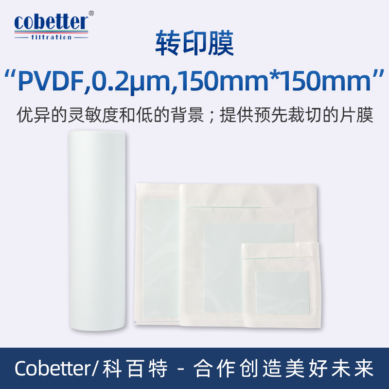 Cobetter科百特PVDF转印膜, 孔径: 0.2μm, 尺寸: 150mm*150mm(25片/盒)