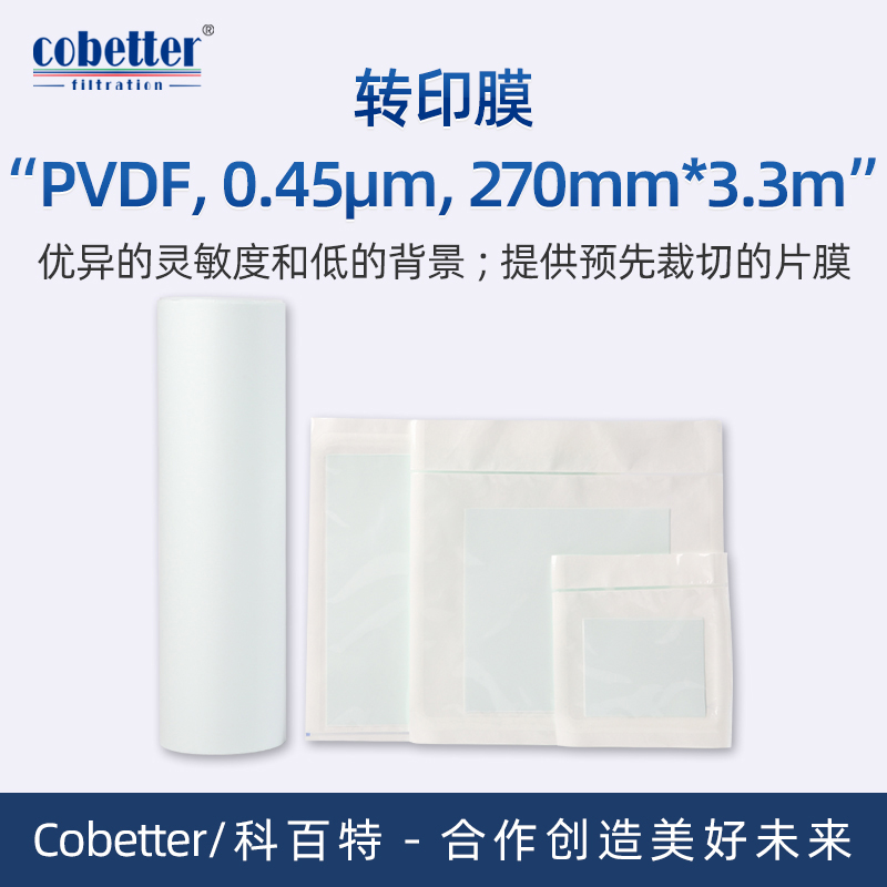 Cobetter科百特PVDF转印膜, 孔径: 0.45μm, 尺寸: 270mm*3.3m(1卷/盒)