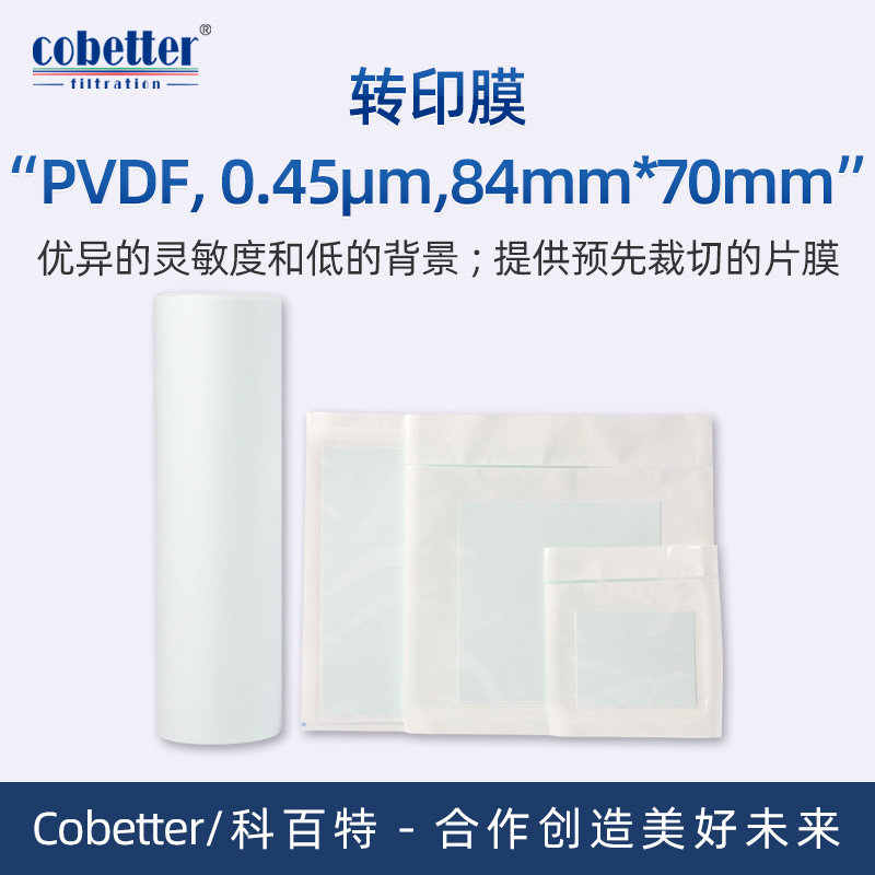 Cobetter科百特PVDF转印膜, 孔径: 0.45μm, 尺寸: 84mm*70mm(50片/盒)