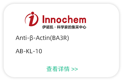 抗體產(chǎn)品5